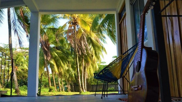 A covered outdoor area with a hammock and a guitar, surrounded by palm trees. - Hotel Pura Natura (Colorado)