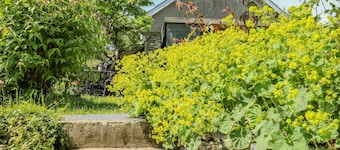 Bryniau Bychain Cottage