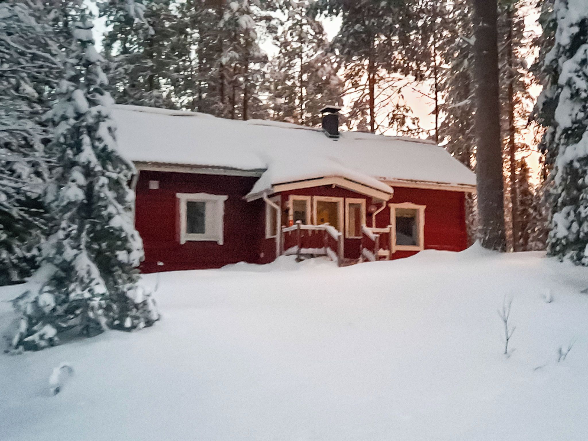 En röd stuga med ett snötäckt tak, omgiven av träd.