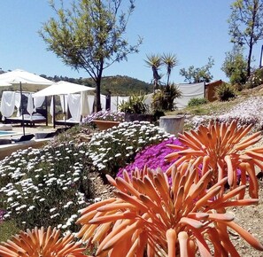 Property grounds - Vacation Rental Castro da Cola (Ourique)