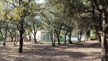 Terrein van de accommodatie