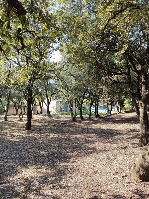 A park with trees and a pathway. - La Chenaie (Mazan)