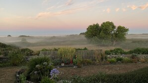 Un jardin où l’on trouve une grande variété de plantes, entouré d’une clôture en bois.