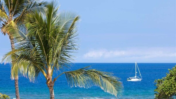 A beach scene with palm trees and a sailboat on the water. - Puako Condo 403 ~ 3 BR Ocean View ~ Pool ~ Puako (Waimea)