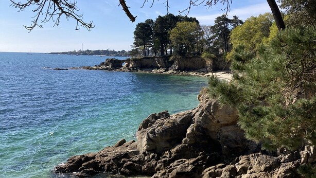 A coastal landscape with clear blue water, rocky shore, and dense pine trees. - Apartment with terrace and private parking in Concarneau, Brittany (Concarneau)