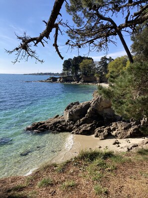 A coastal landscape with clear blue water, rocky shore, and dense pine trees. - Apartment with a terrace and private parking in Concarneau, Brittany (Concarneau)