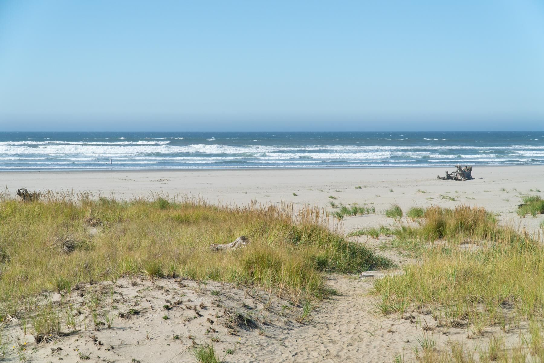 House, 2 Queen Beds (Sandpiper Cottage) | Beach