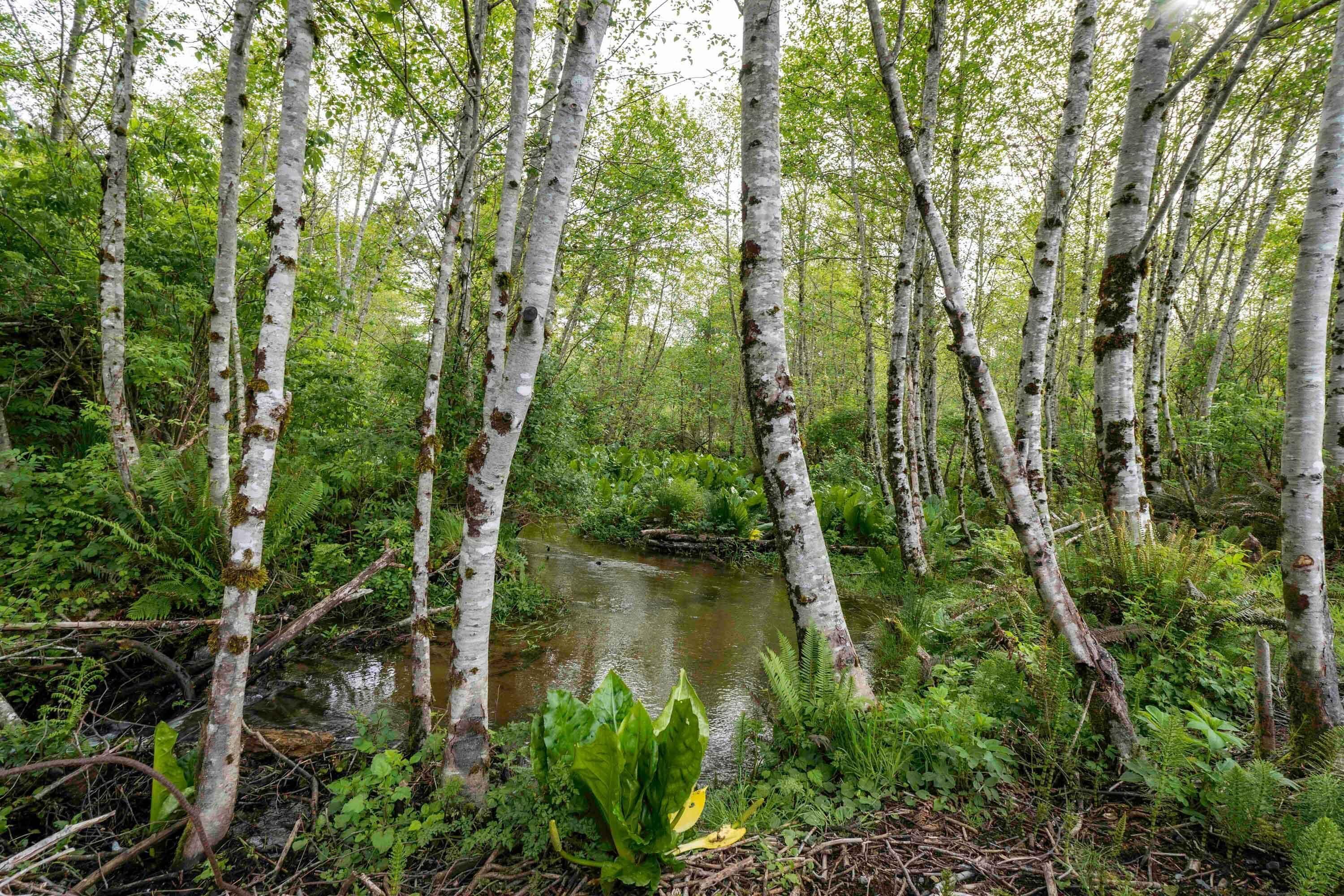 House, Multiple Beds (Heron's Nest) | Property grounds