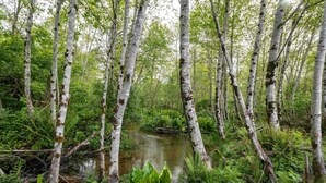 Hus - flere senge (Heron's Nest) | Overnatningsstedets område