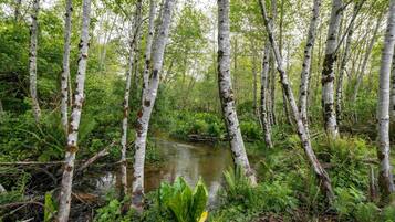 Casa, varias camas (Heron's Nest) | Áreas de la propiedad