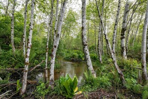 House, Multiple Beds (Heron's Nest) | Property grounds - Heron's Nest (Rockaway Beach)