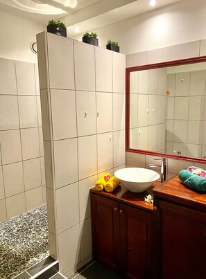Chuveiro, secador de cabelo, toalhas de banho, papel higiênico