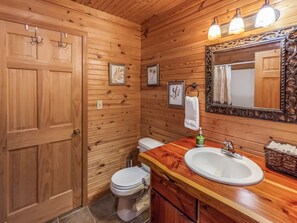 Bathtub, hair dryer, shampoo, toilet paper