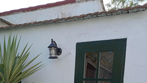 A white building with a green door, a small step leading to the entrance, and a potted plant beside the door. - La Casita Azul 1. Your corner in the country. (La Estación de Puerto Lumbreras)