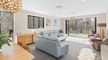 Smart TV, fireplace, books, computer monitors