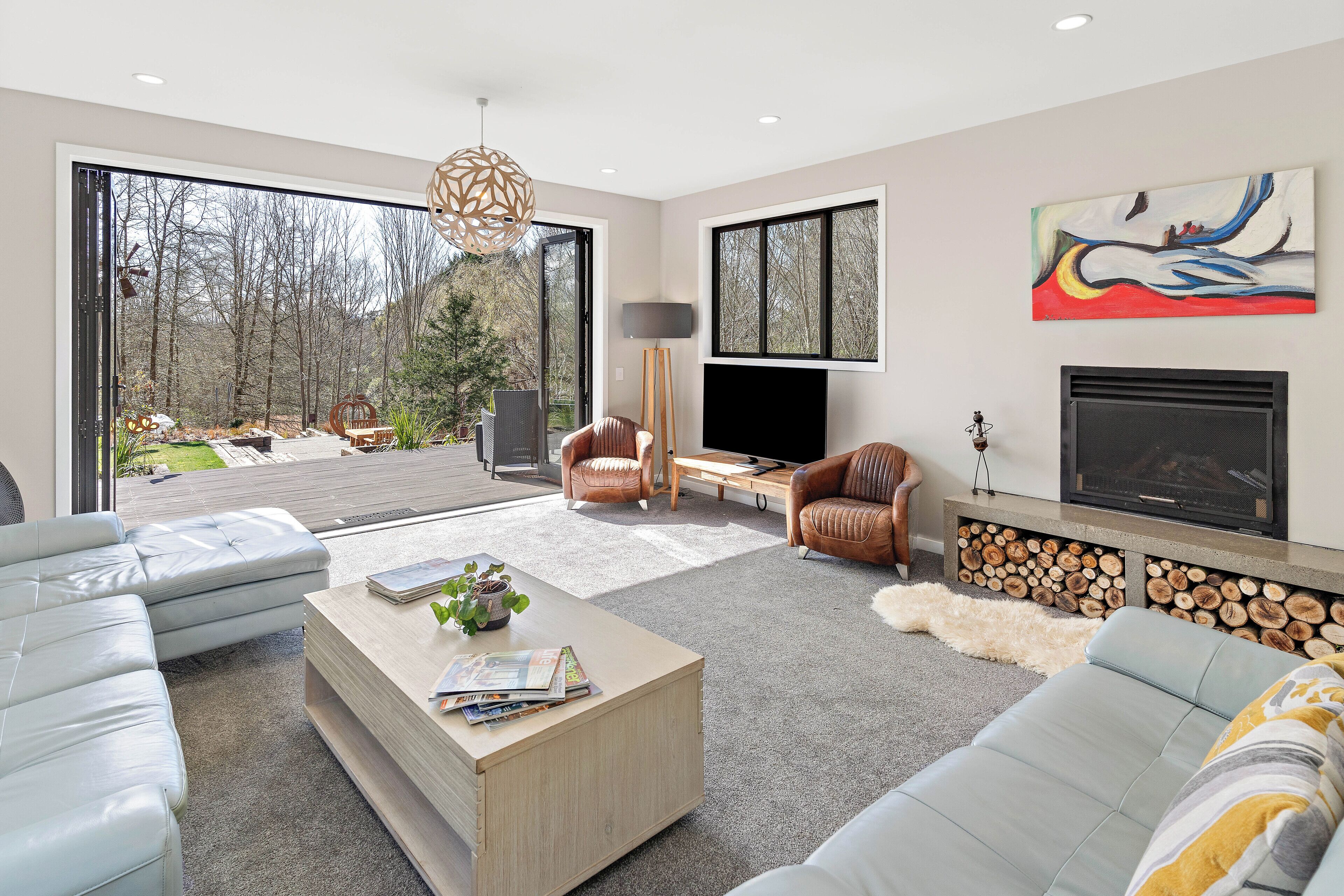 Smart TV, fireplace, books, computer monitors