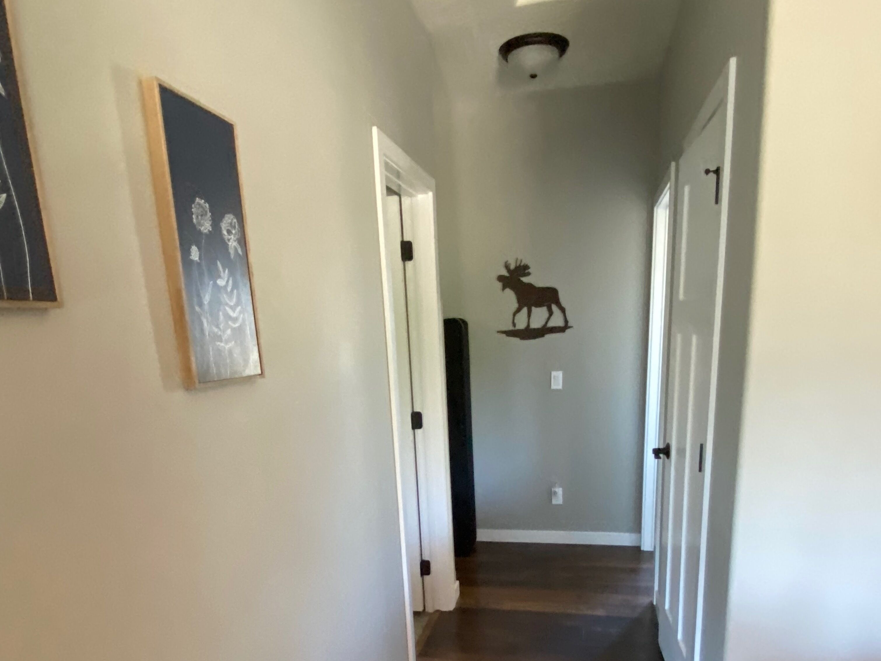 A hallway with a ceiling light, a wall-mounted moose decoration, and a framed artwork.