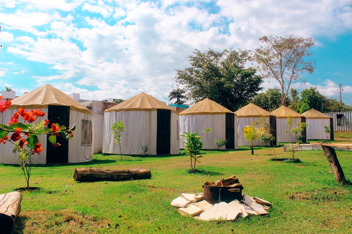 Image de profil de lâhĂŽte