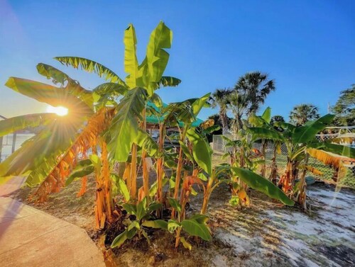 DIRECT Gulf View/Access! KAYAKS!!! WATERFRONT!!!