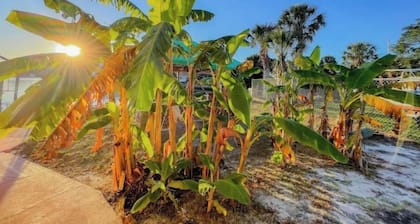 DIRECT Gulf View/Access! KAYAKS!!! WATERFRONT!!!