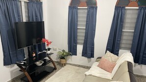Un salon avec un canapé, un téléviseur, une petite table sur laquelle est posée une plante, et des rideaux aux fenêtres.