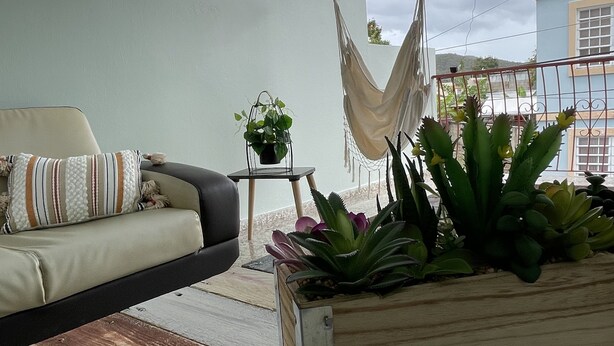 Un salon moderne avec un canapé, un hamac suspendu, un pot de fleurs en bois contenant des plantes et un panneau décoratif mural.