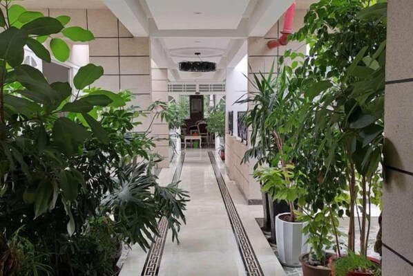 A corridor with potted plants on both sides, leading to a reception area with a counter and chairs.