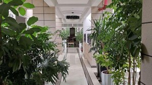 Un pasillo bordeado por macetas con plantas y con suelo de baldosas, que conduce a una zona de estar con una mesa y sillas.