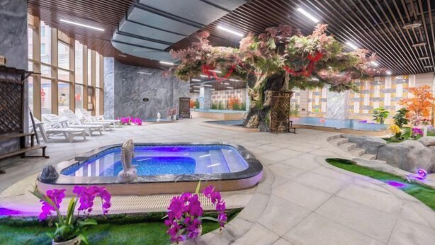 A spa area with a hot tub, lounge chairs, and a large indoor plant. - Taibai Mountain Wanguo Hotel (Mei County)