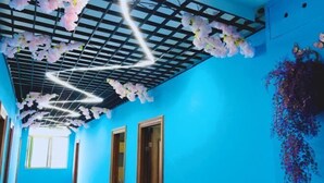 Un pasillo con paredes azules, puertas de madera y flores rosadas colgantes.