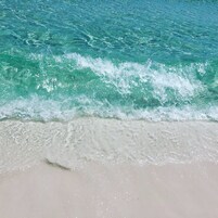 On the beach