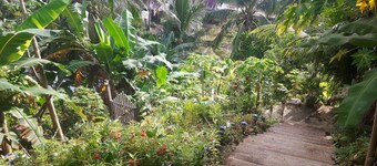paradise view place