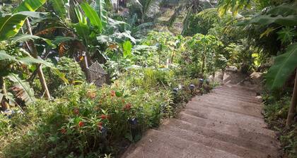 paradise view place