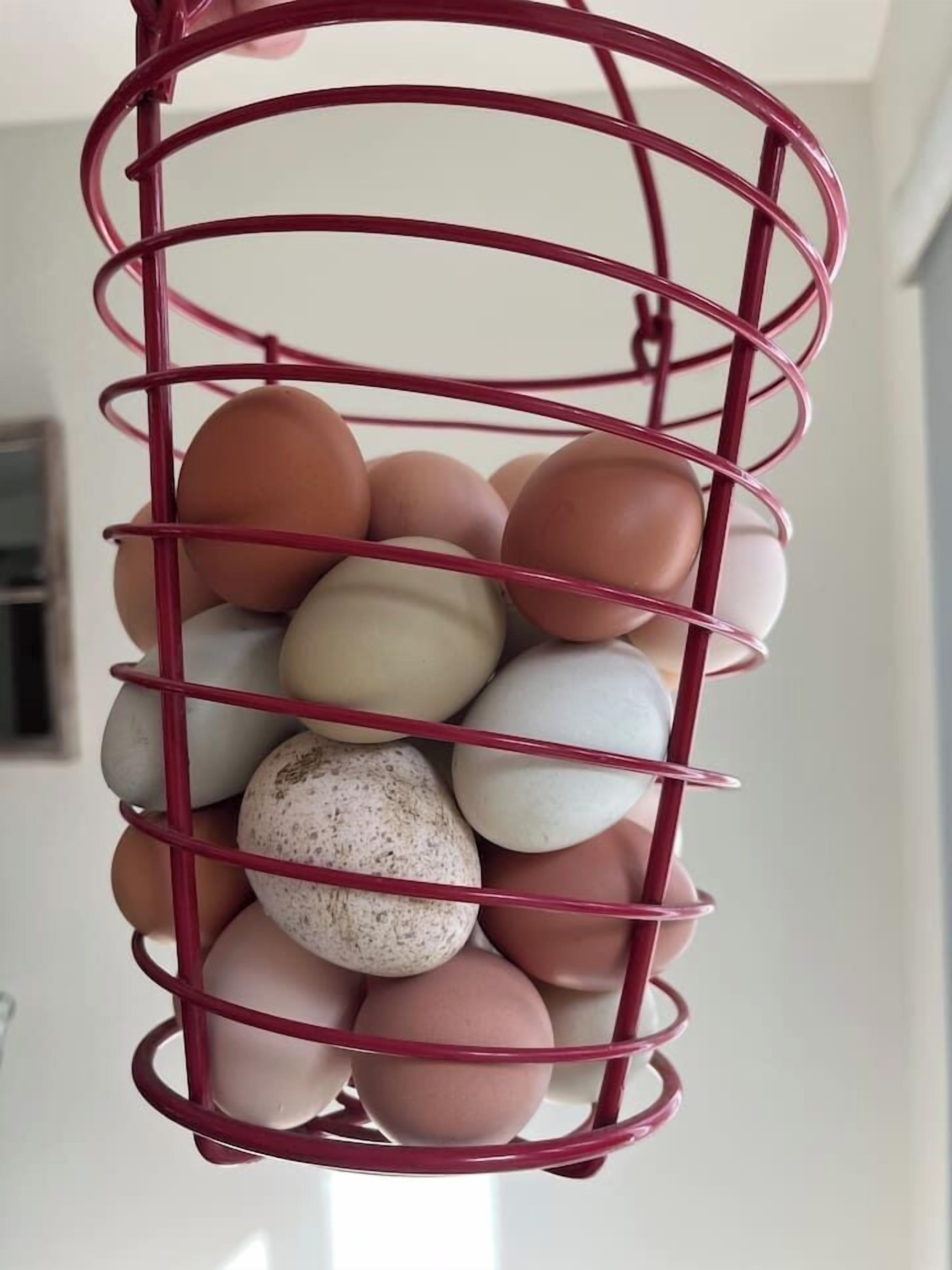 Un recipiente metálico para huevos.