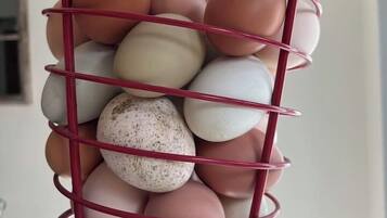 Un recipiente metálico para huevos.