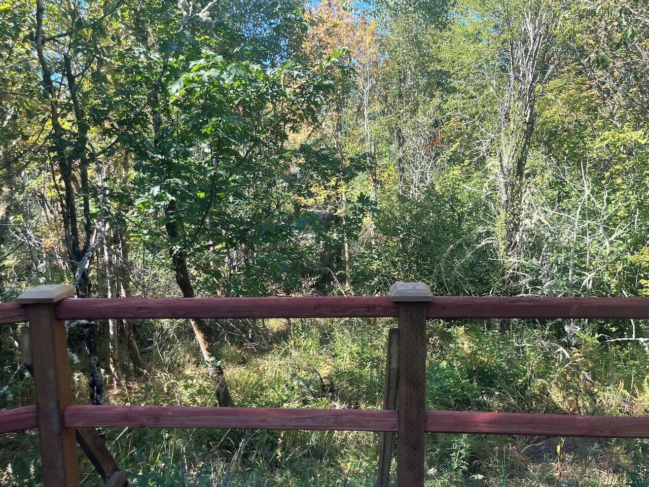 A wooden fence with a natural, forested background.