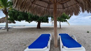 Due poltrone bianche con cuscini blu sotto un tetto di paglia, una palma e vista sulla spiaggia.