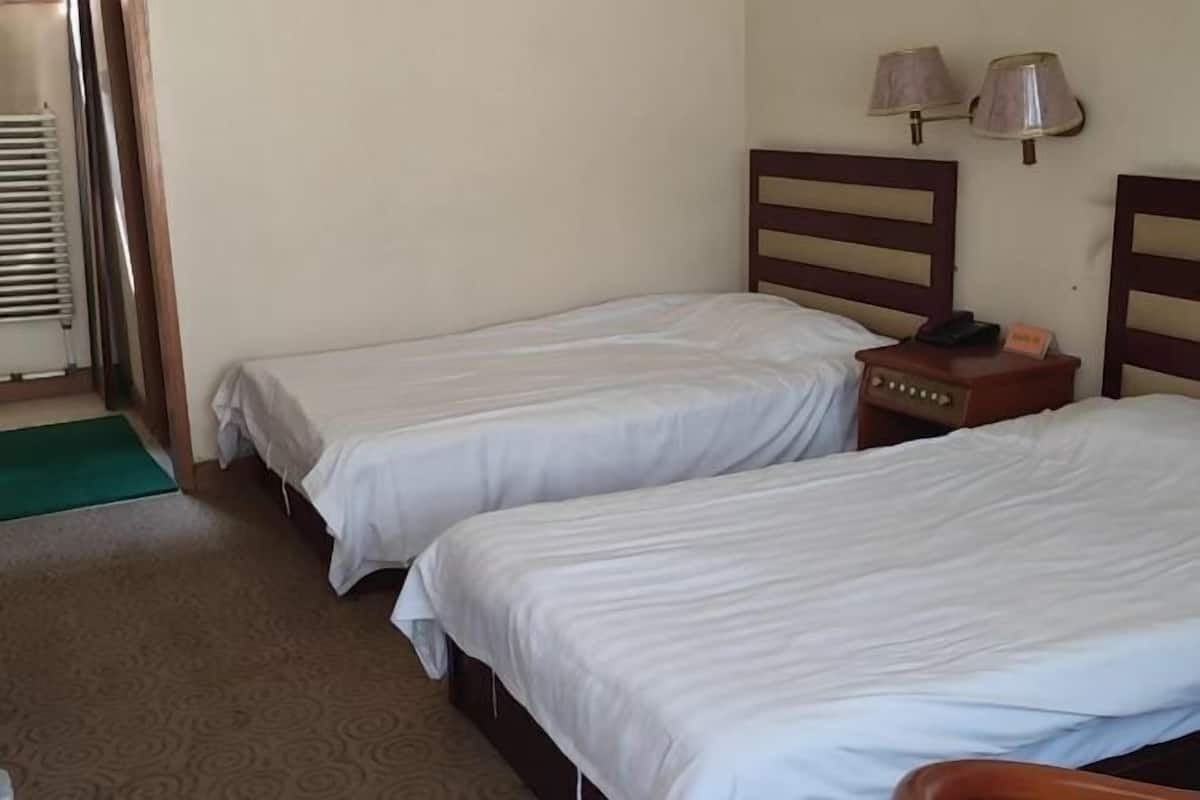 A hotel room with two single beds, a bedside table with a lamp, a radiator, and a green mat.