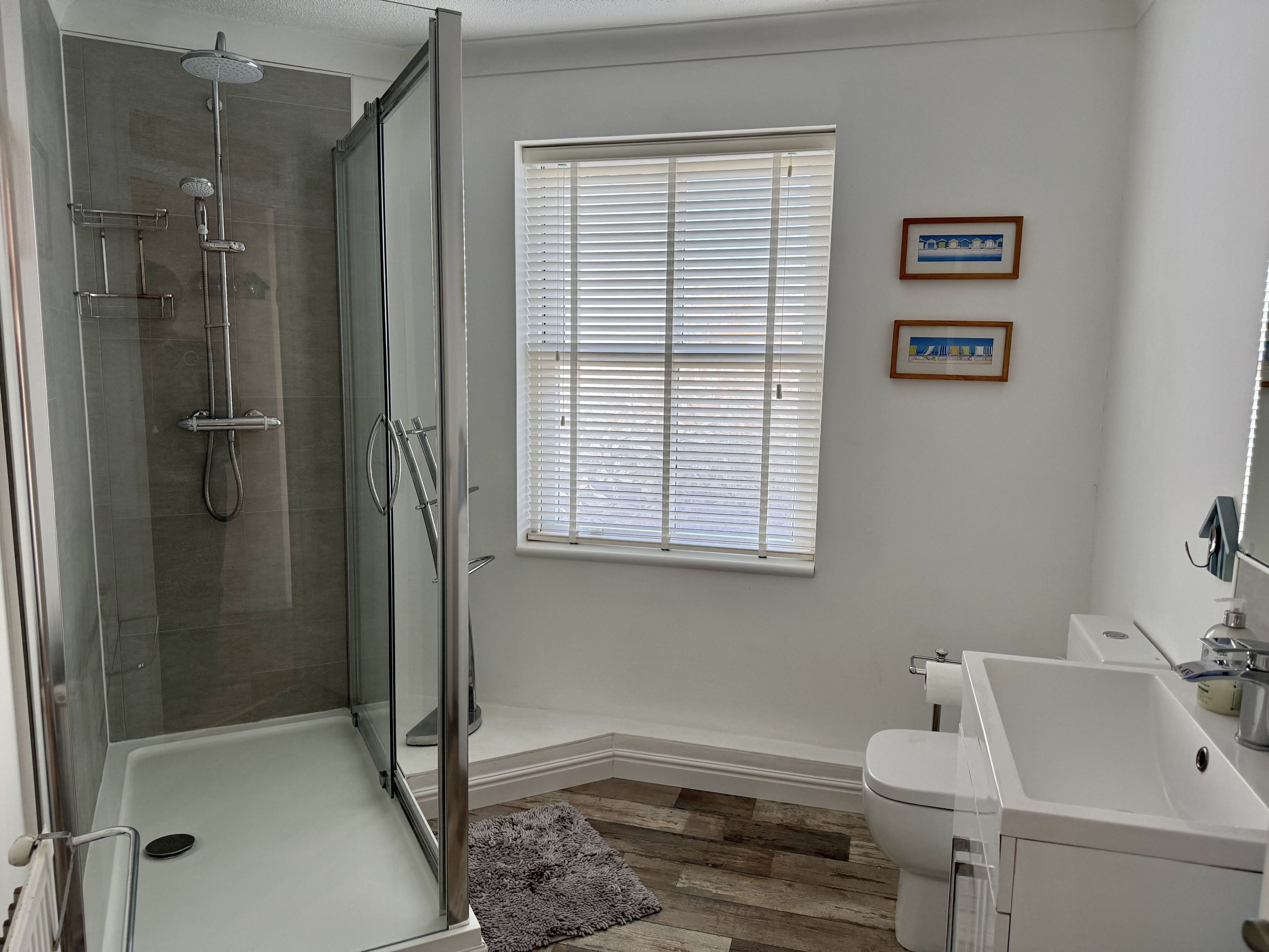 Shower, hair dryer