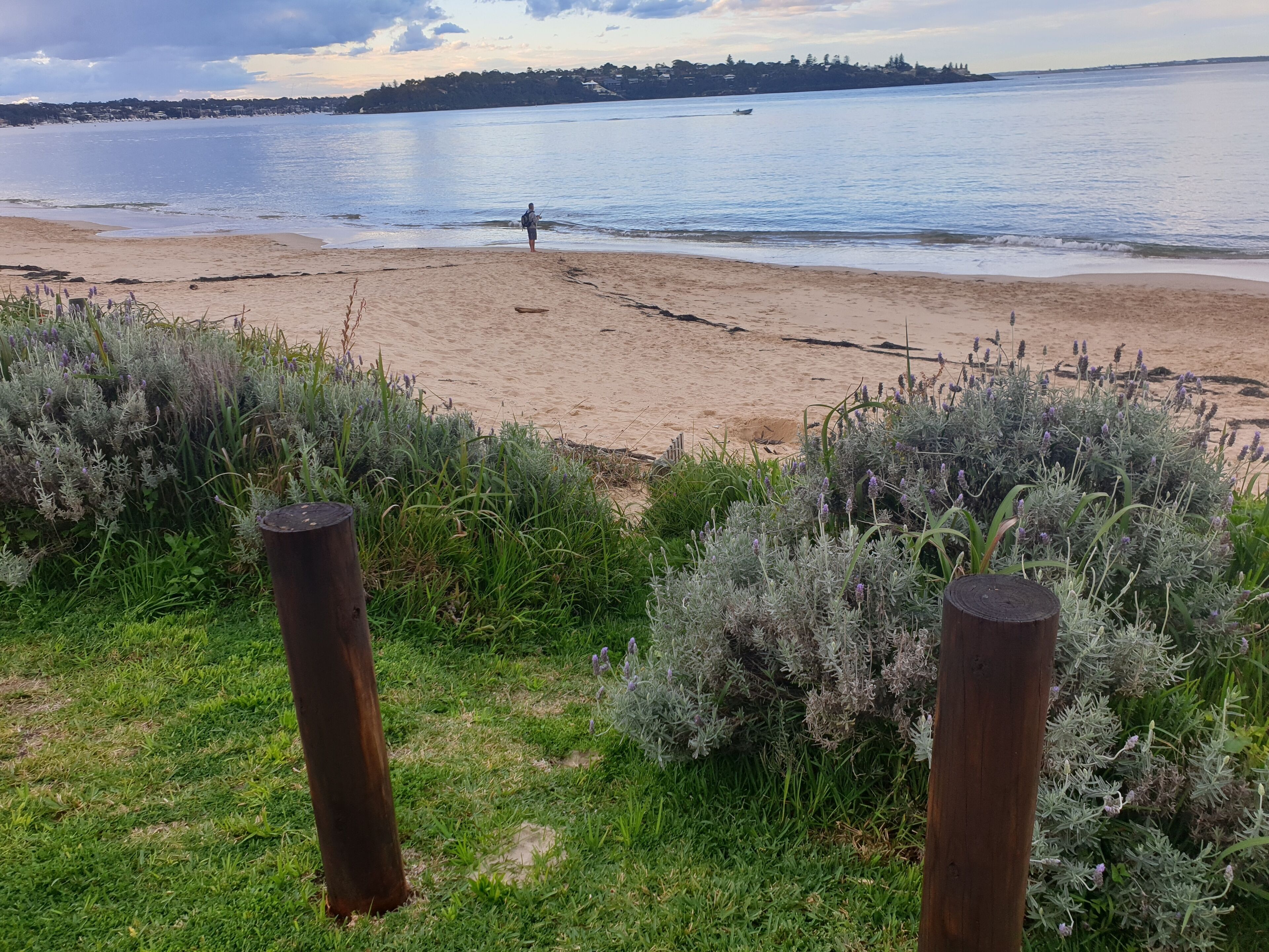 Absolute beachfront - Horderns Beach Bundeena — image 22