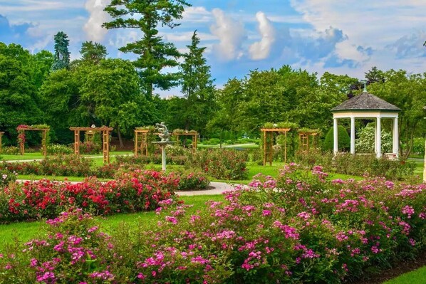 Terrain de l’hébergement 