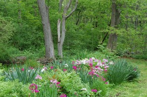 A lush garden with various flowering plants and trees. - Walk to the ocean, very private. Secluded, woodsy location. (Gloucester)