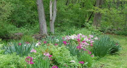 Walk to the ocean, very private. Secluded, woodsy location.