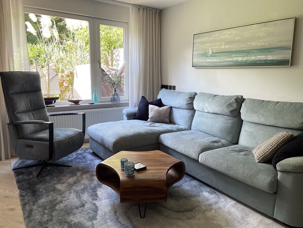 TV connectée, cheminée, livres