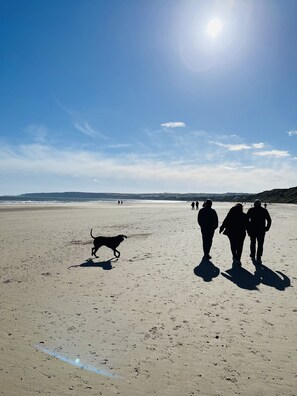 Beach - Well equipped modern country cottage in great location (Bempton)