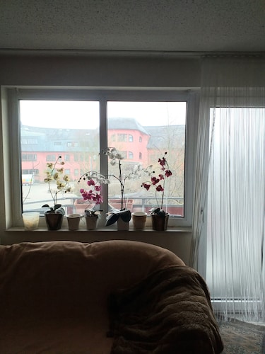 Carpe Diem Frankenthal Pfalz Weinstraße Kurpfalz