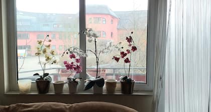 Carpe Diem Frankenthal Pfalz Weinstraße Kurpfalz