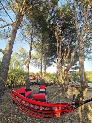 Property grounds - House at the foot of the Alpilles (Saint Rémy De Provence)