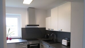 A modern kitchen with a built-in oven, a stovetop, a sink, and a window with potted plants. - Vacation apartment in the heart of Saxony (Leisnig)