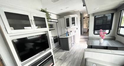 Johnny Love, Modern and Bright Paradise RV